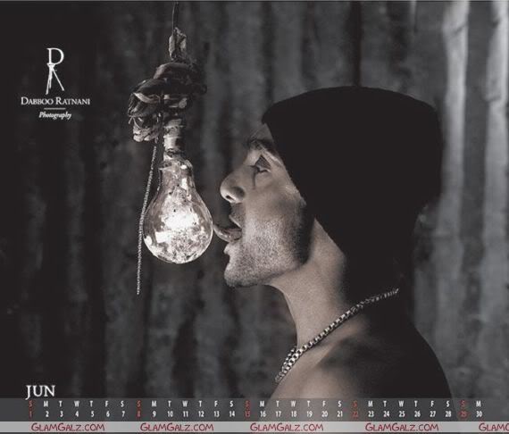 Dabboo 2008 Bollywood Calendar