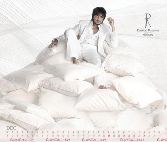 Dabboo 2008 Bollywood Calendar