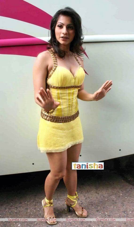 Tanisha Mukherjee Looks Hot in Yellow