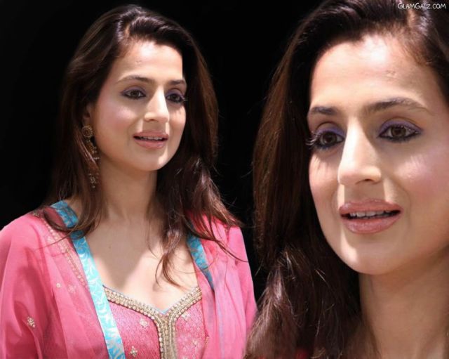 Click to Enlarge - Beautiful Amisha Patel Wallpapers