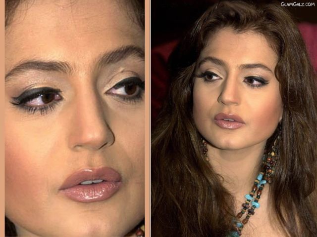 Click to Enlarge - Beautiful Amisha Patel Wallpapers