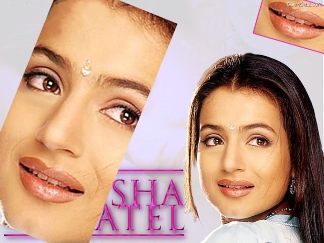 Click to Enlarge - Beautiful Amisha Patel Wallpapers