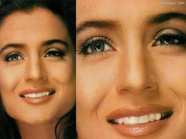 Click to Enlarge - Beautiful Amisha Patel Wallpapers