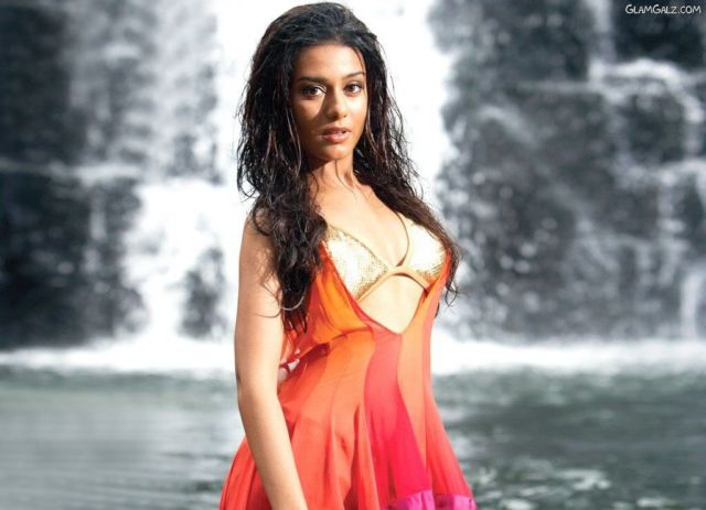 Click to Enlarge - Beautiful Amrita Rao Wallpapers