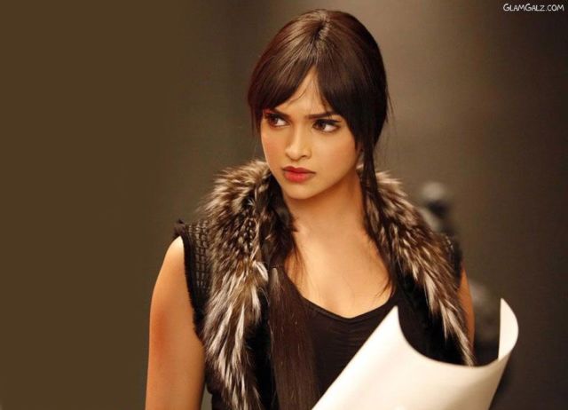 Click to Enlarge - Celina Jaitley - Walls