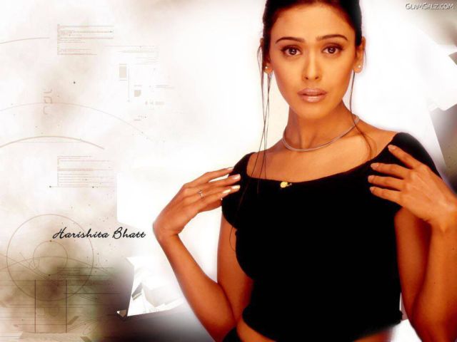 Click to Enlarge - Sizzling Hrishitaa Bhatt Wallpapers