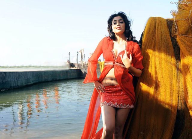 Click to Enlarge - Most Beautiful Wallpapers of Shriya Saran