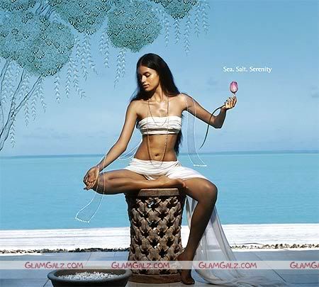 Click to Enlarge - Taj's Calender Girls