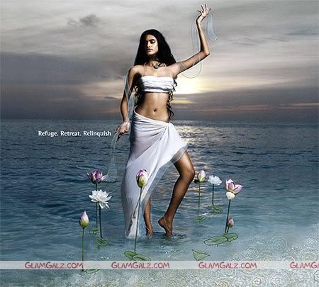 Click to Enlarge - Taj's Calender Girls