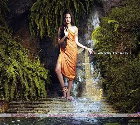 Click to Enlarge - Taj's Calender Girls