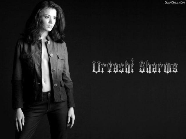 Click to Enlarge - Bollywood Beauty Urvashi Sharma Wallpapers